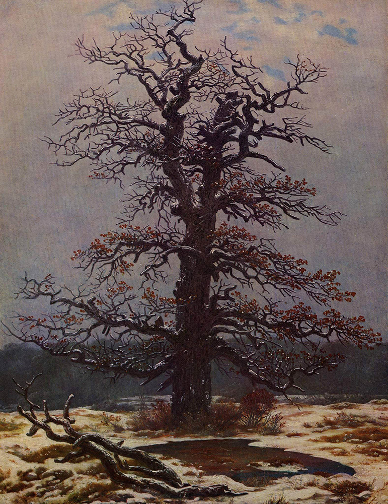 Caspar David Friedrich Oak in the Snow (1820)  oil painting reproduction