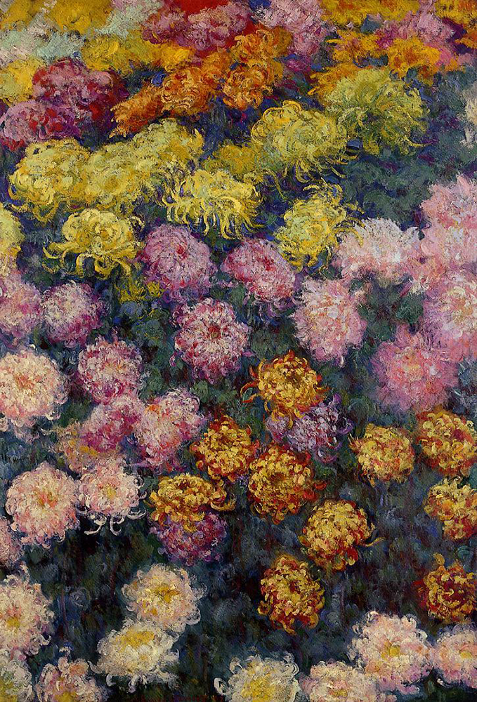 Claude Monet Bed of Chrysanthemums, 1897 oil painting reproduction