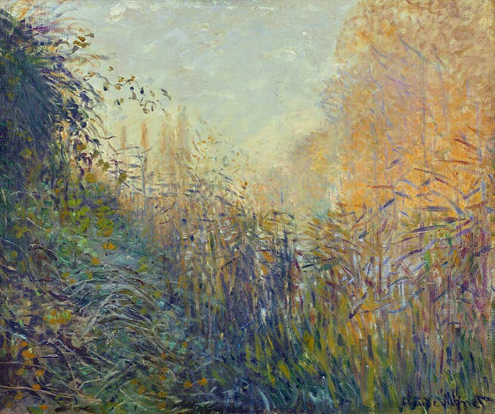 Claude Monet Etude de joncs a Argenteuil, 1876 oil painting reproduction