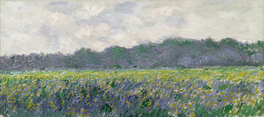 Claude Monet Field of Yellow Irises at Giverny, 1887 oil painting reproduction