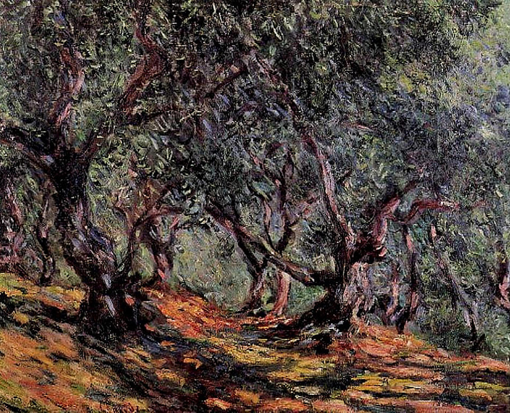 Claude Monet Olive Trees in Bordigher, 1884 oil painting reproduction