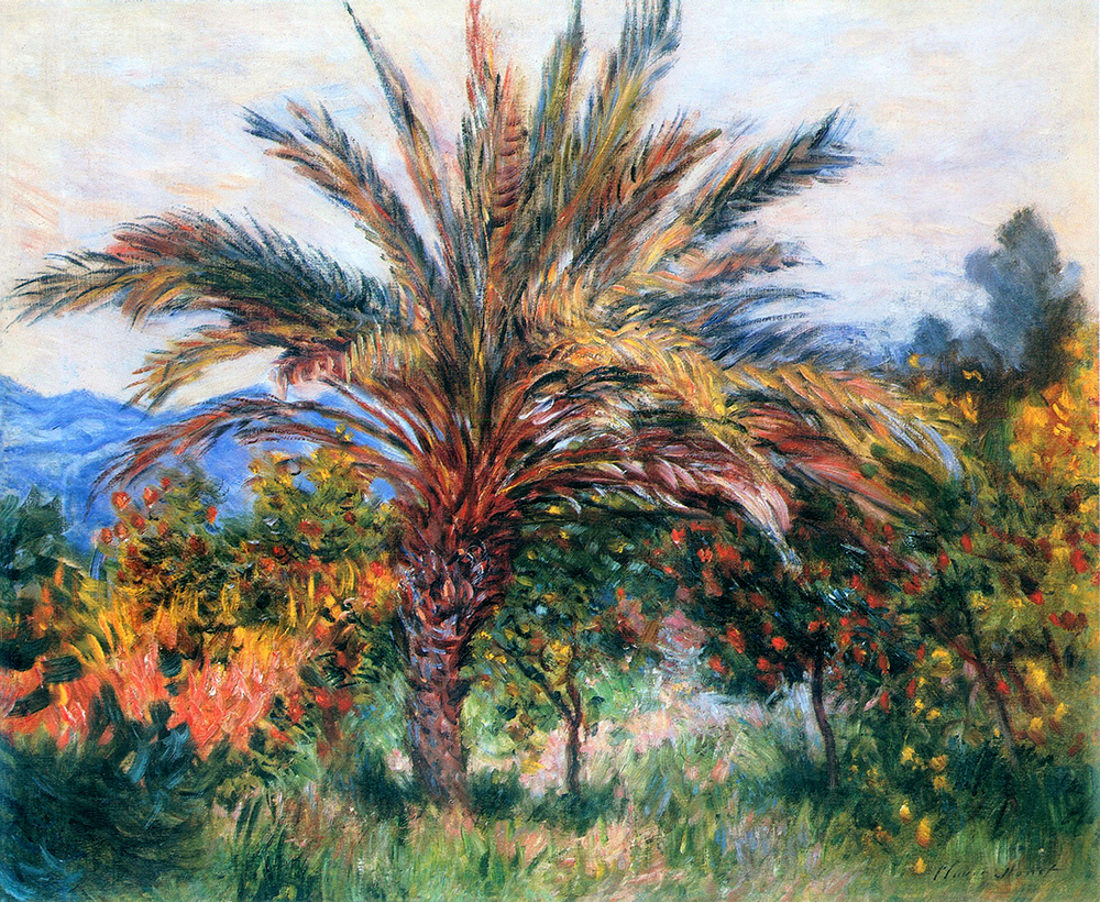 Claude Monet Palm Tree at Bordighera, 1884 oil painting reproduction