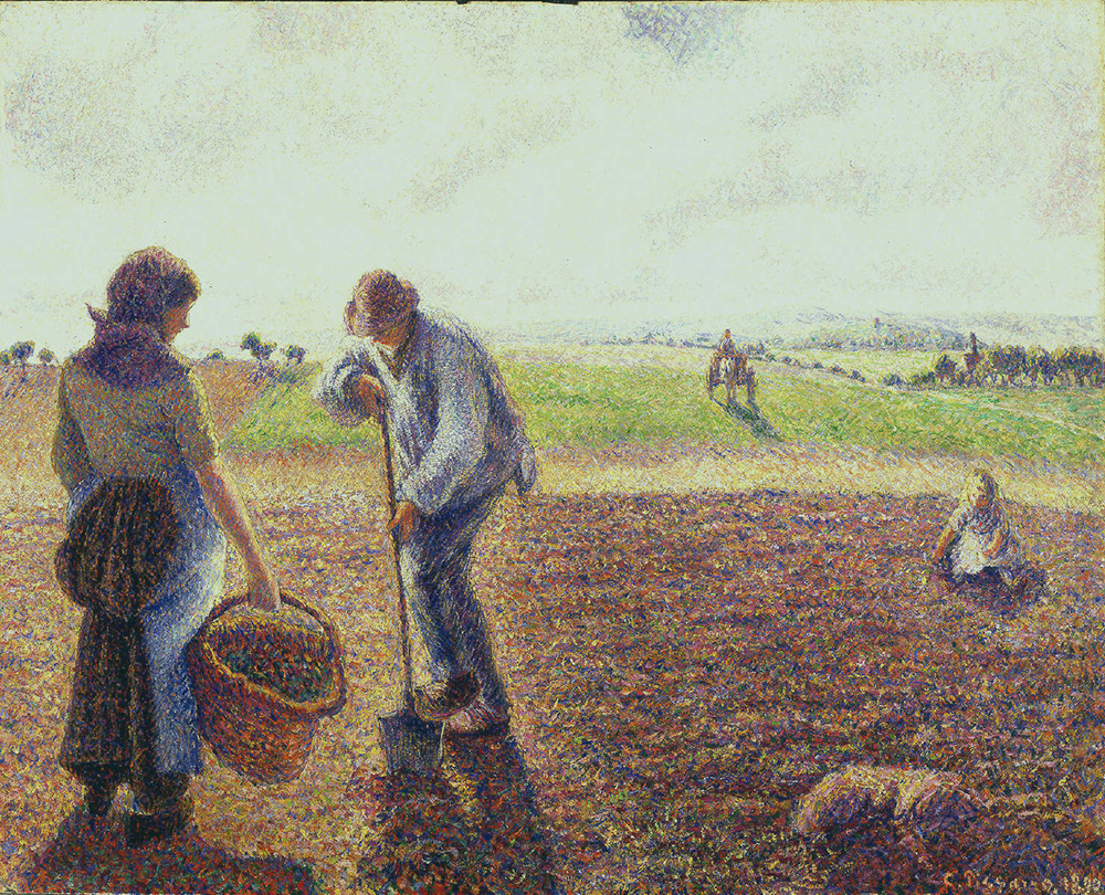 Camille Pissarro Peasants in the Fields, Eragny, 1890 oil painting reproduction